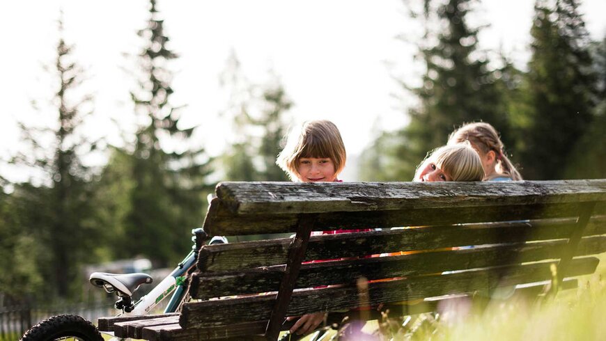 Kinder blicken während ihres Sommerurlaubs mit der Familie in Tirol über eine alte Holzbank, im Hintergrund Fahrrad und Nadelbäume.