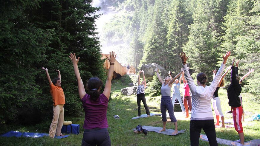 Eine Gruppe von Menschen praktiziert Yoga im Freien in einem Wald.