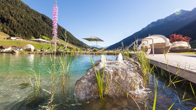 Ein Natursteinbrunnen umringt von Pflanzen im Naturbadeteich