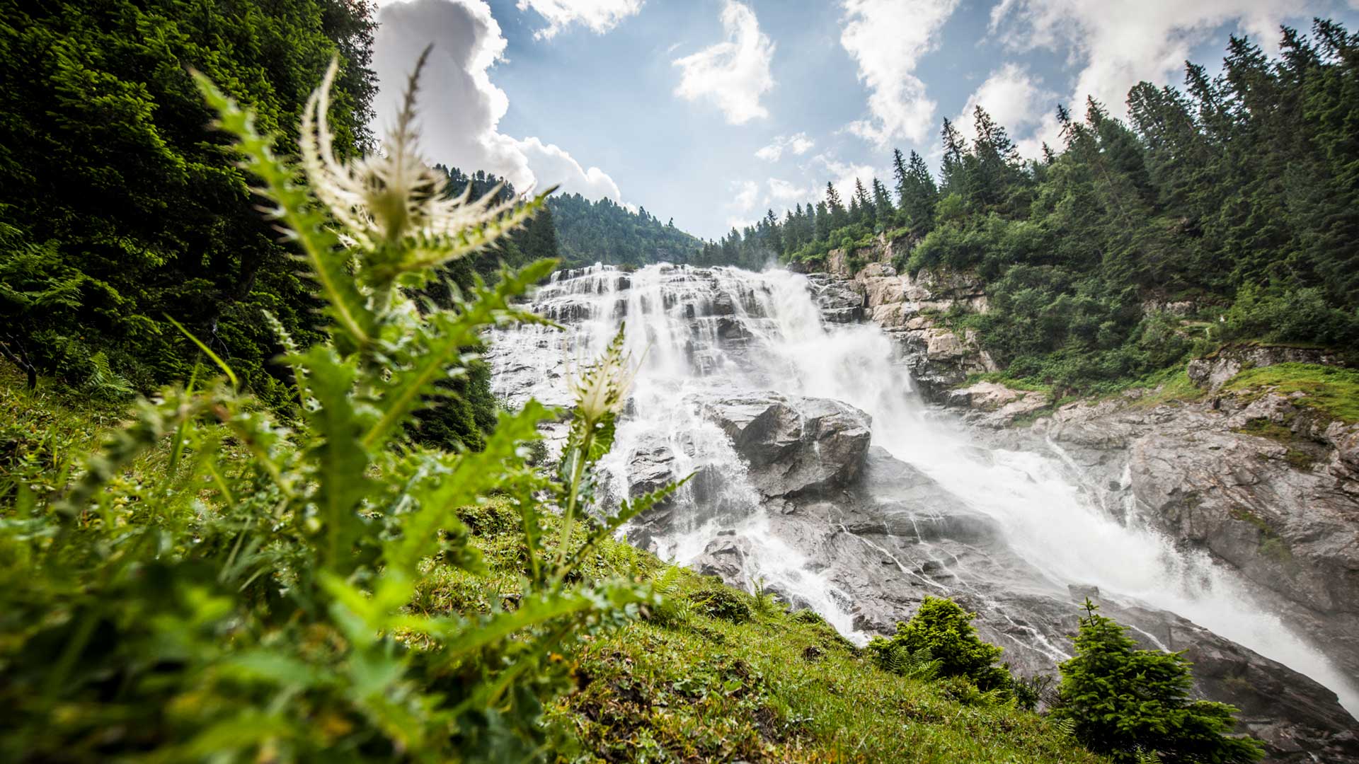 Ein beeindruckender Wasserfall inmitten einer üppigen grünen Landschaft und hohen Bäumen, ideal für einen Sommerurlaub in Tirol.