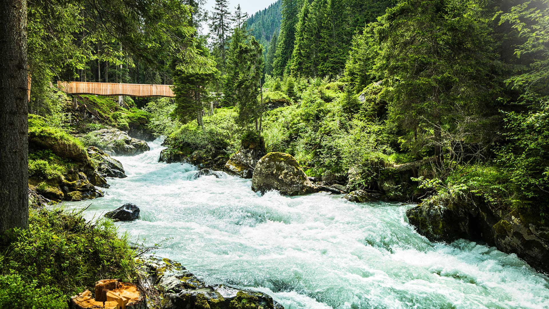 Ein reißender Fluss fließt durch eine üppig grüne Waldlandschaft, überquert von einer hölzernen Fußgängerbrücke, perfekt für einen Wanderurlaub in Tirol.